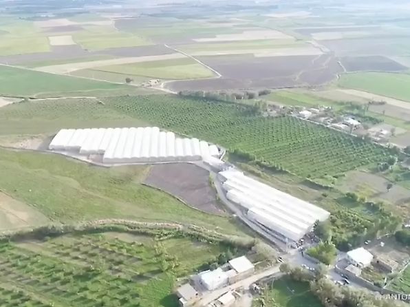 سایت گلخانه ای محصولات هیدروپونیک احداث شده با تسهیلات کارفرمایی کمیته امداد امام خمینی (ره) آذربایجان غربی